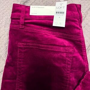 BRAND NEW LOFT Burgundy Pants